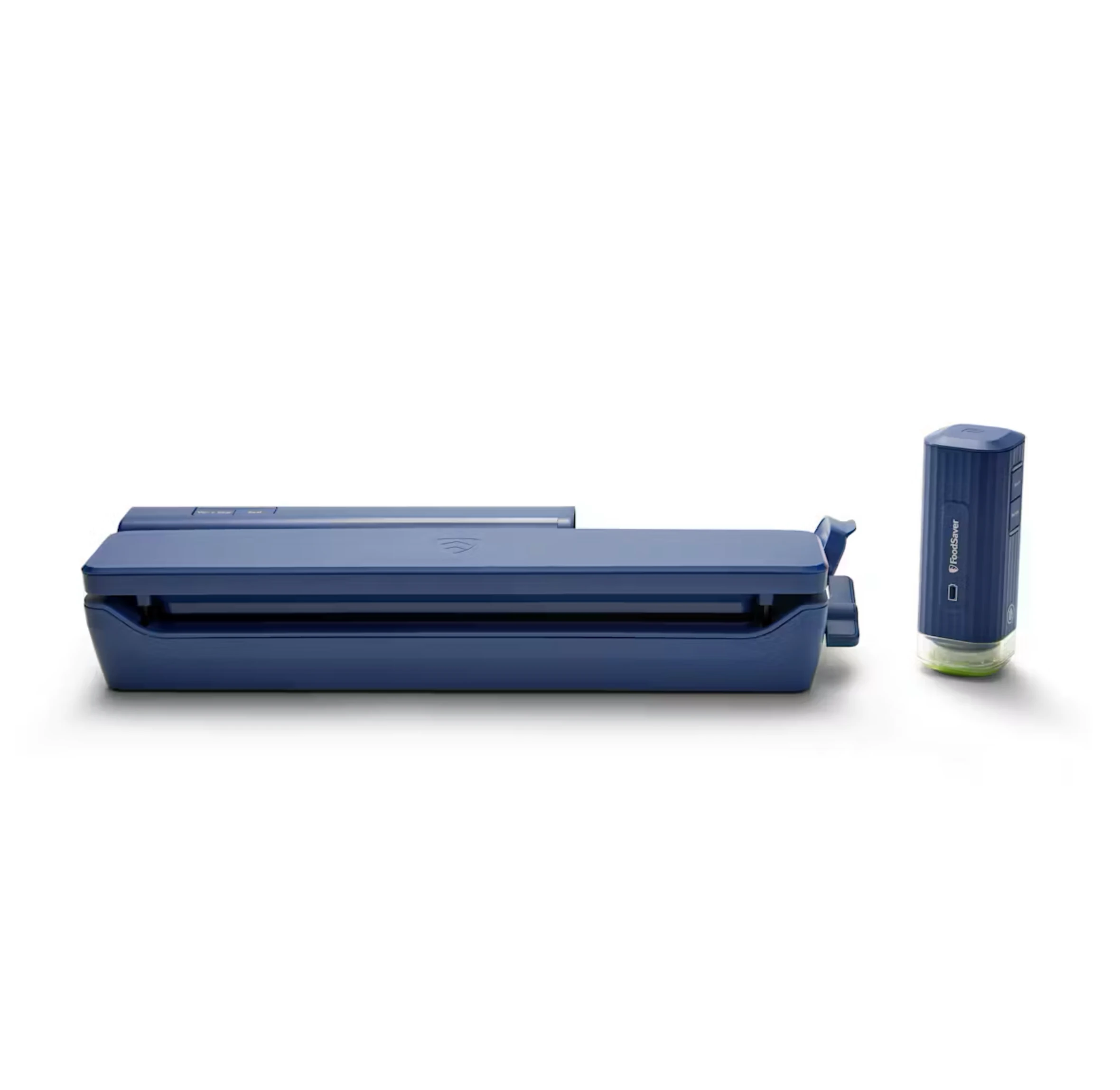 Blue FoodSaver Handheld Plus MS2000 base with its removable handheld pump beside it